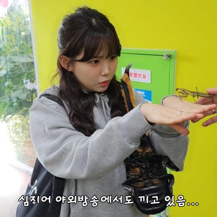 우정잉 인스타