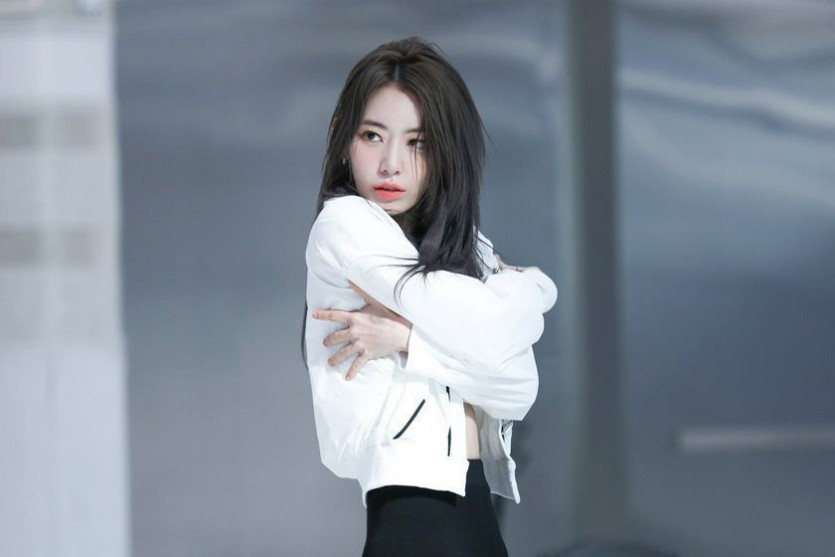 르세라핌 사쿠라