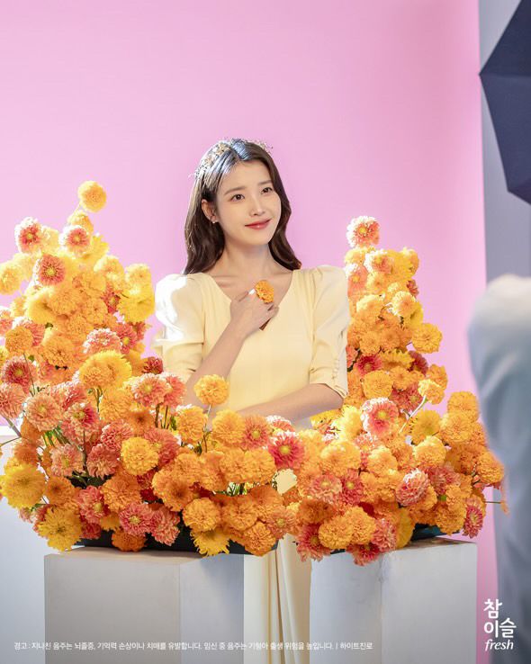아이유 참이슬