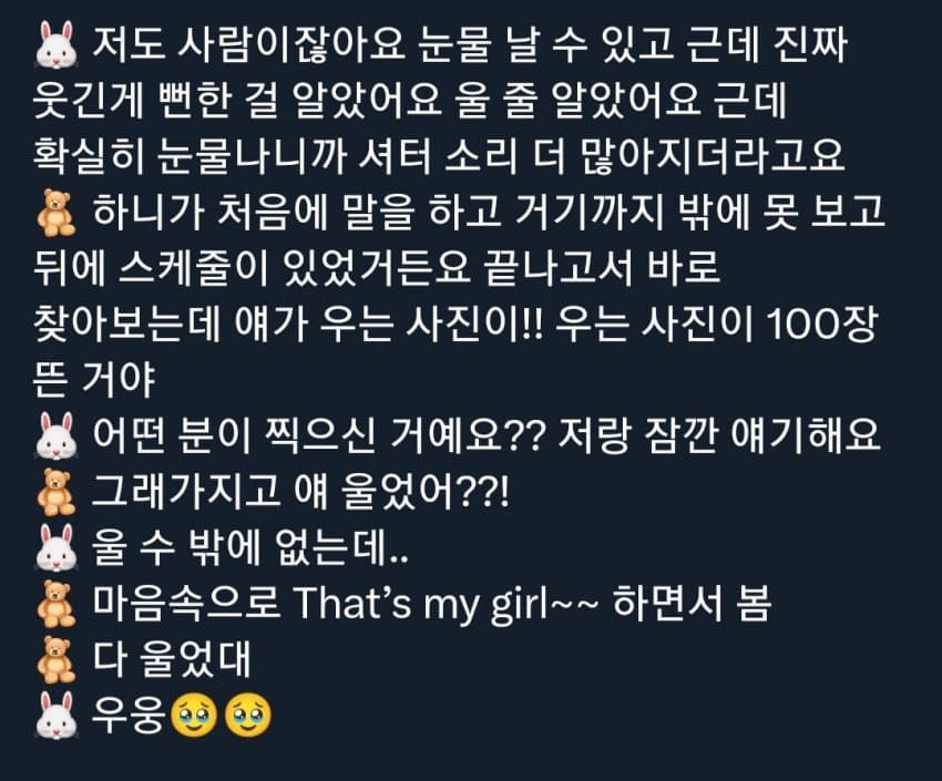 국감 다녀온 어느 외국인의 후기