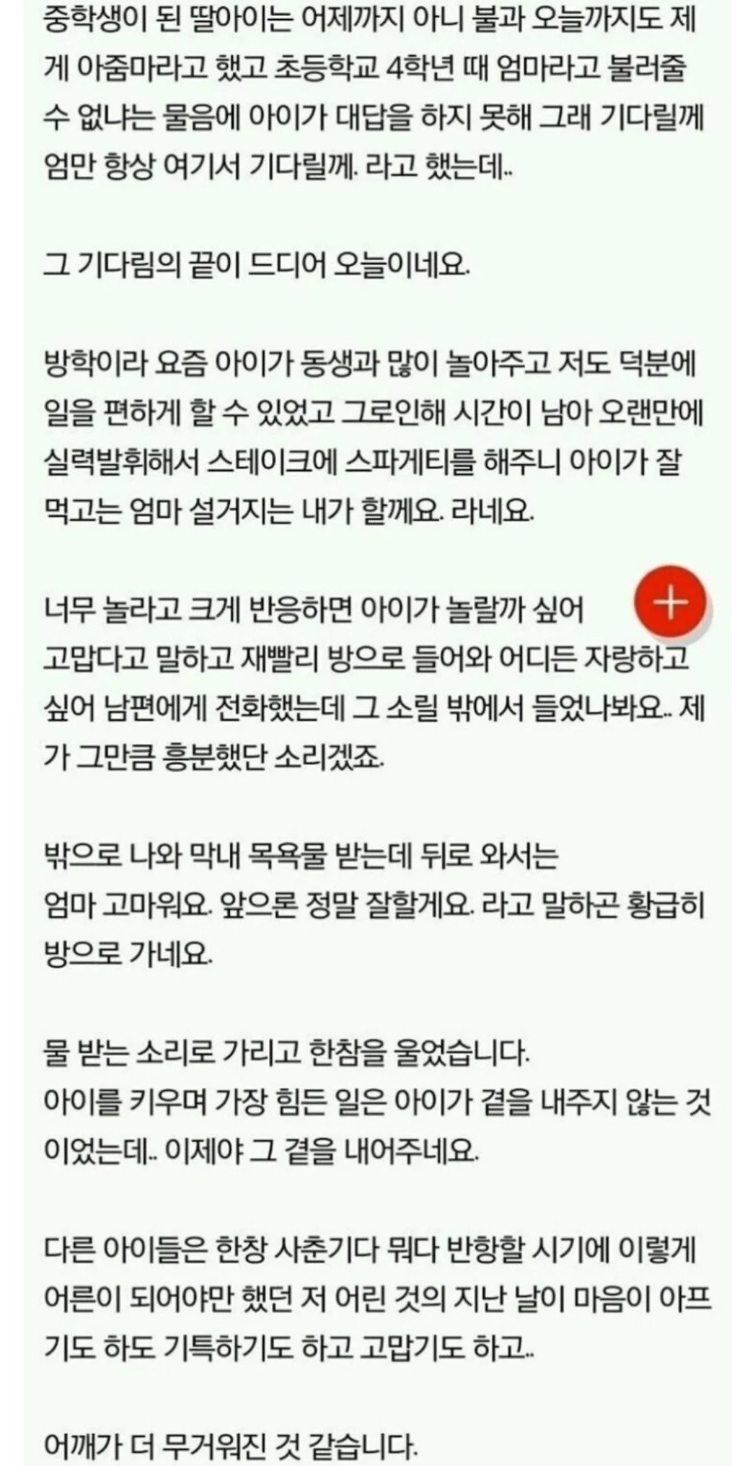 결혼하고 2년 동안 초등생 딸이 있다는 걸 숨겨왔던 남편
