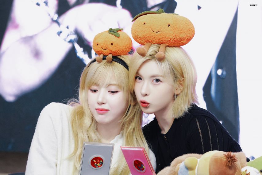 엔믹스 지우 배이
