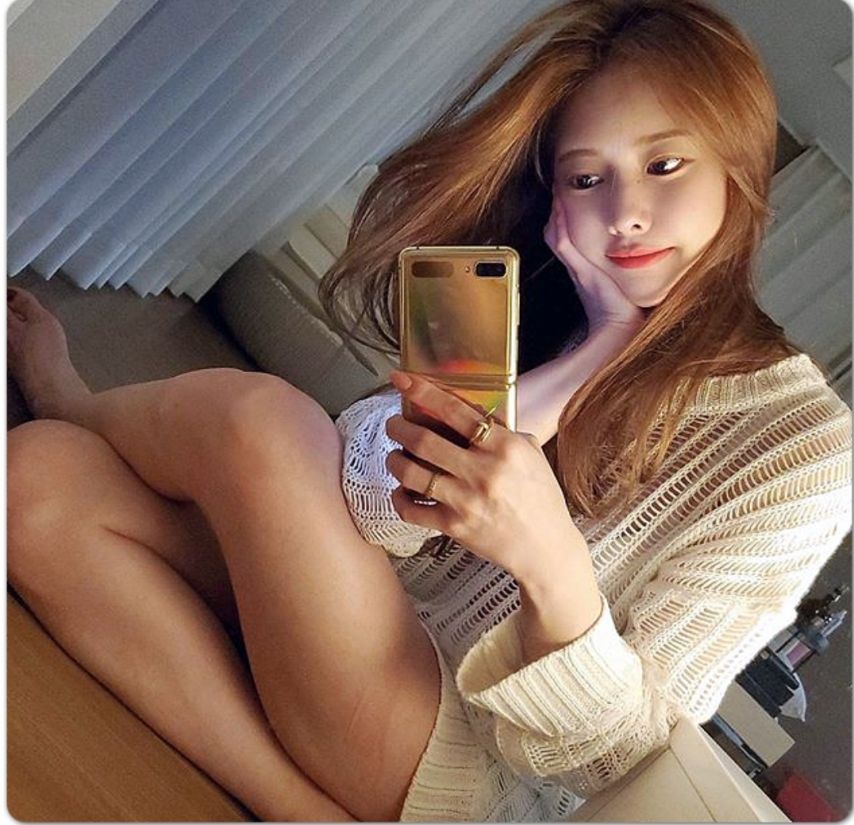 꽃벼리