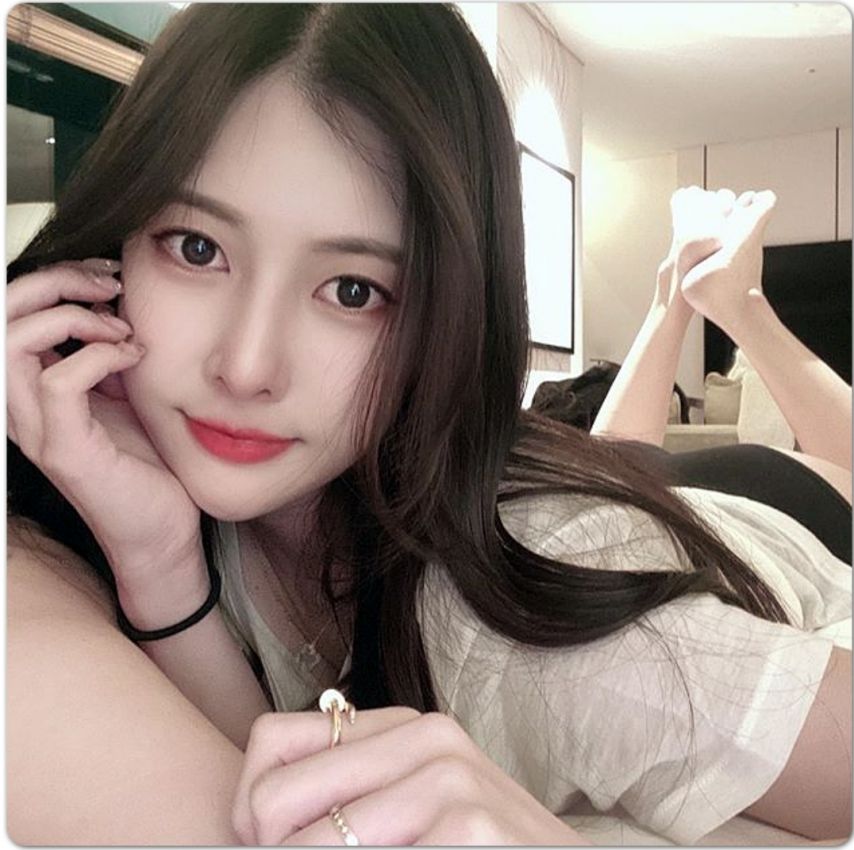 꽃벼리