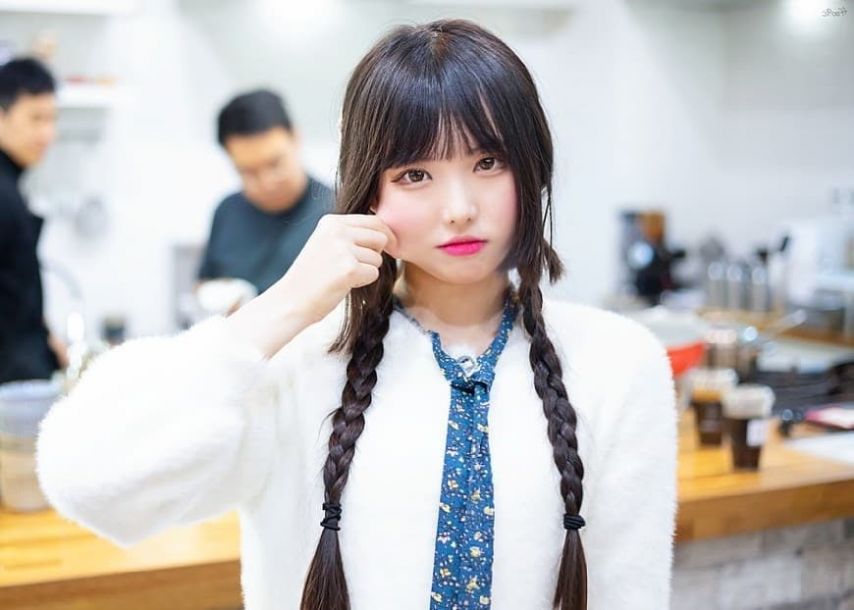 나무늘봉순