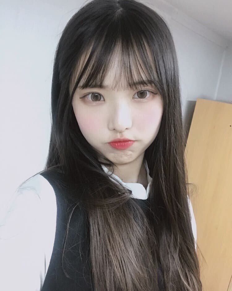나무늘봉순