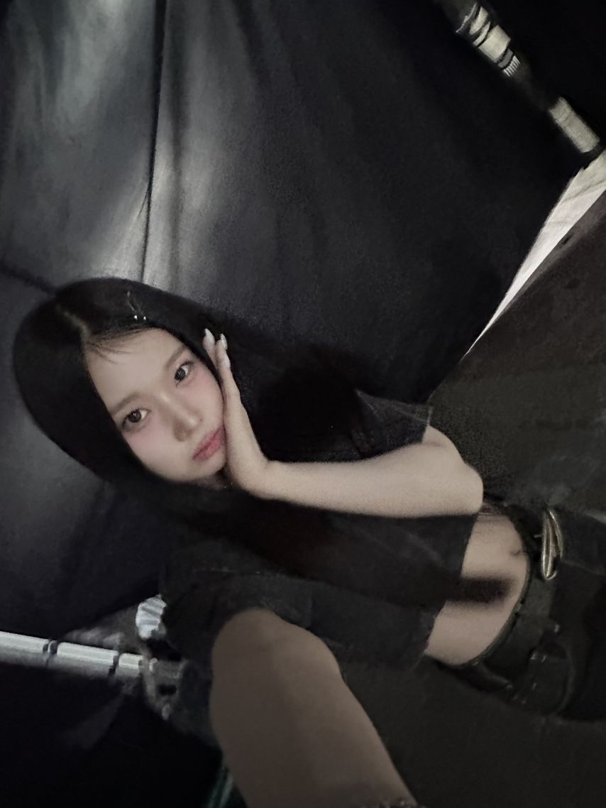 세이마이네임