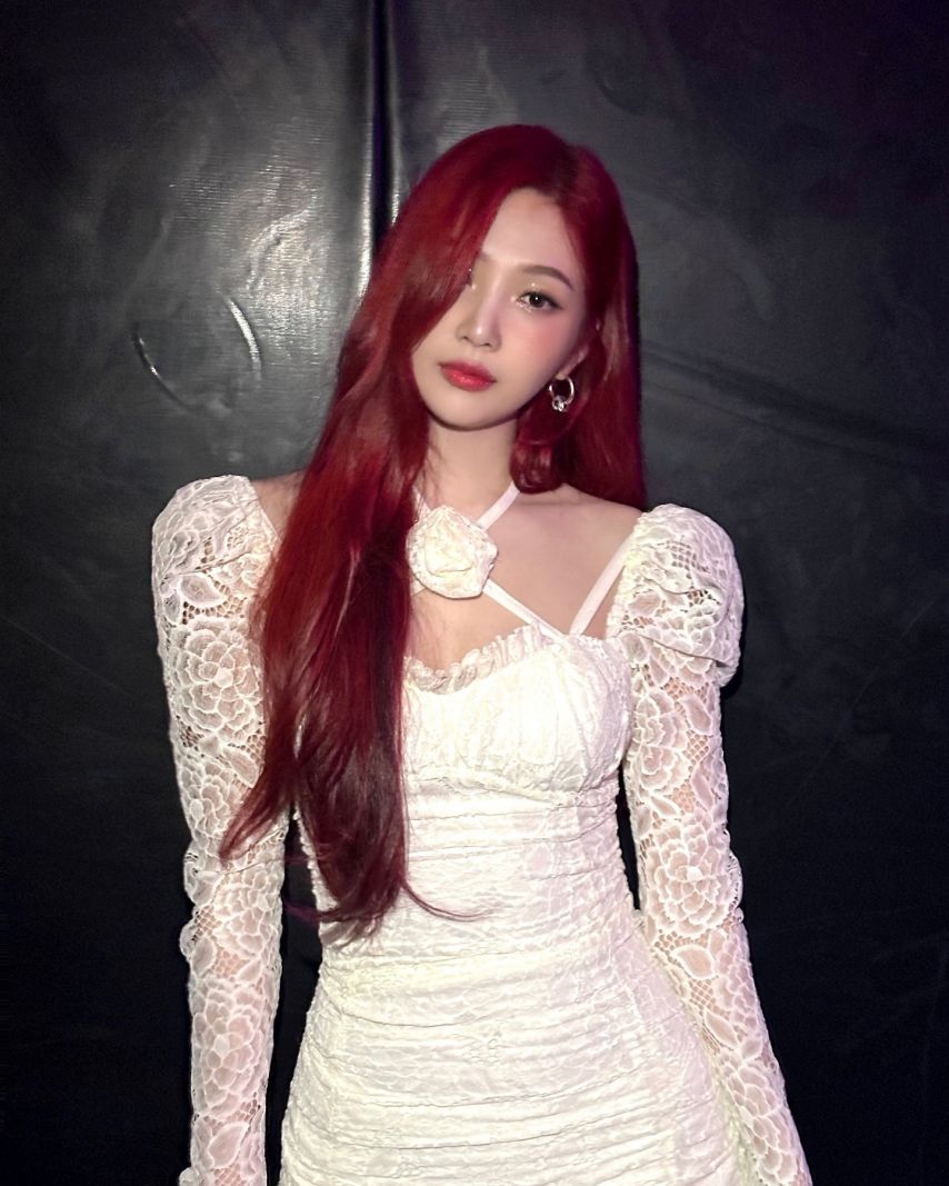 조이 레드벨벳 인별