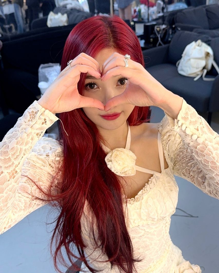 조이 레드벨벳 인별