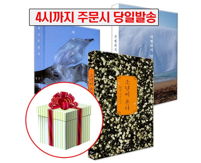 소년이 온다+채식주의자+작별하지 않는다 한강 책 세트 2024 노벨문학상 수상작가, 창비