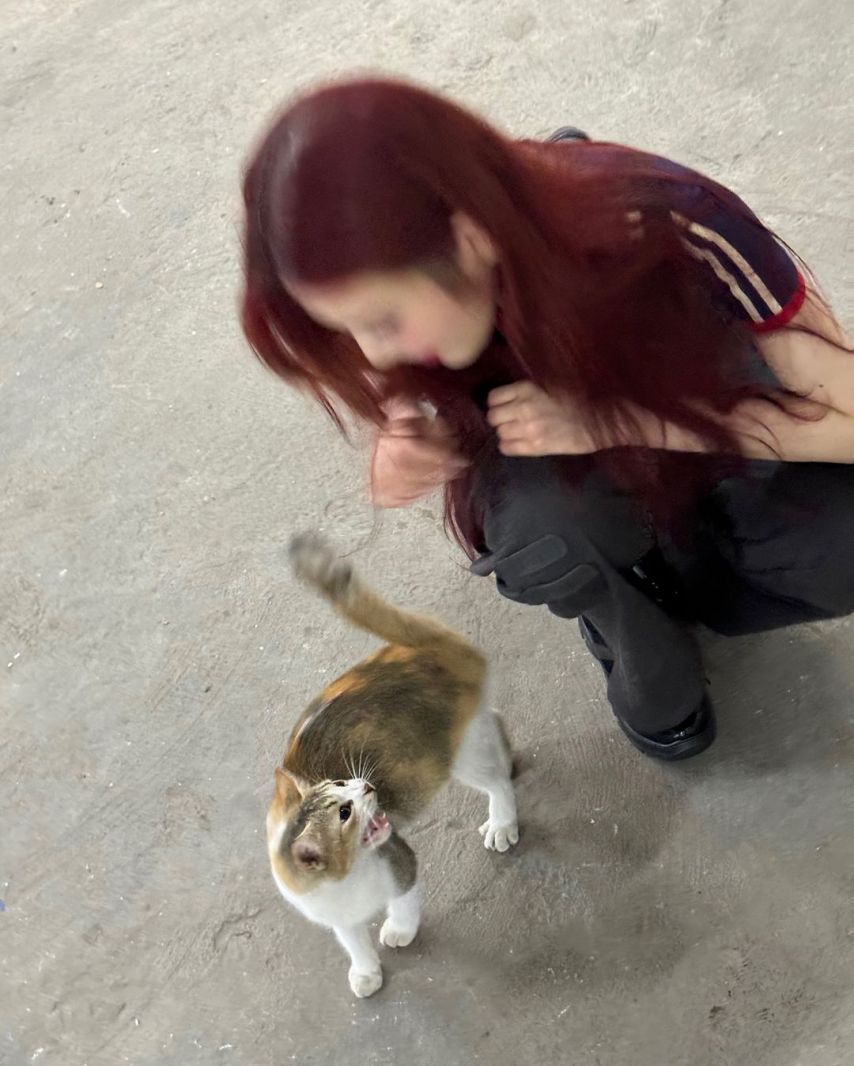 레드벨벳 조이