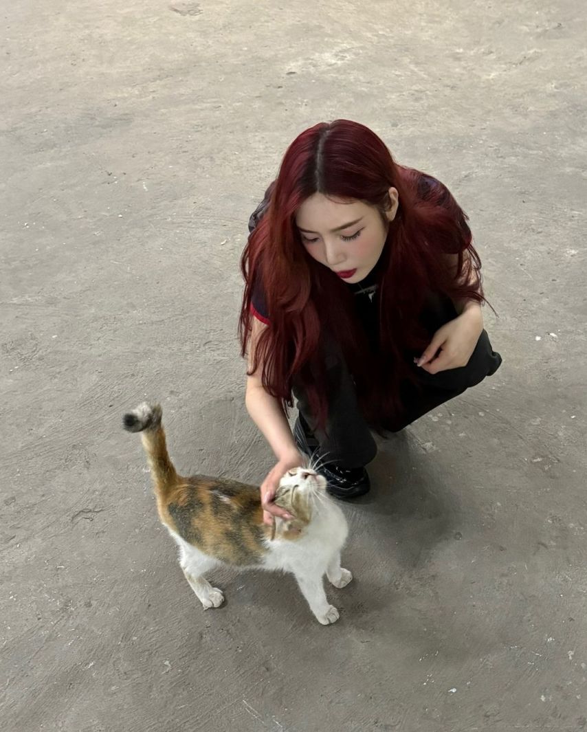 레드벨벳 조이