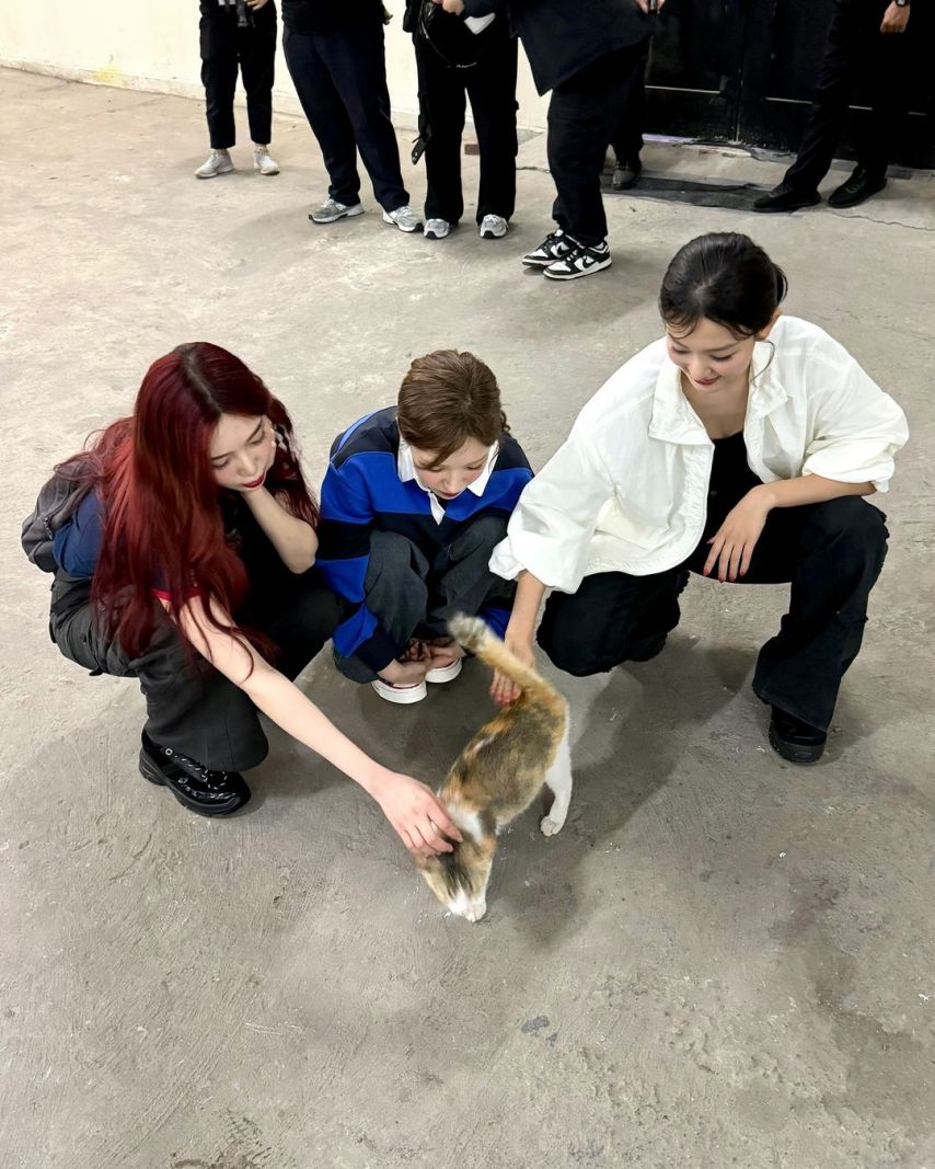 레드벨벳 조이