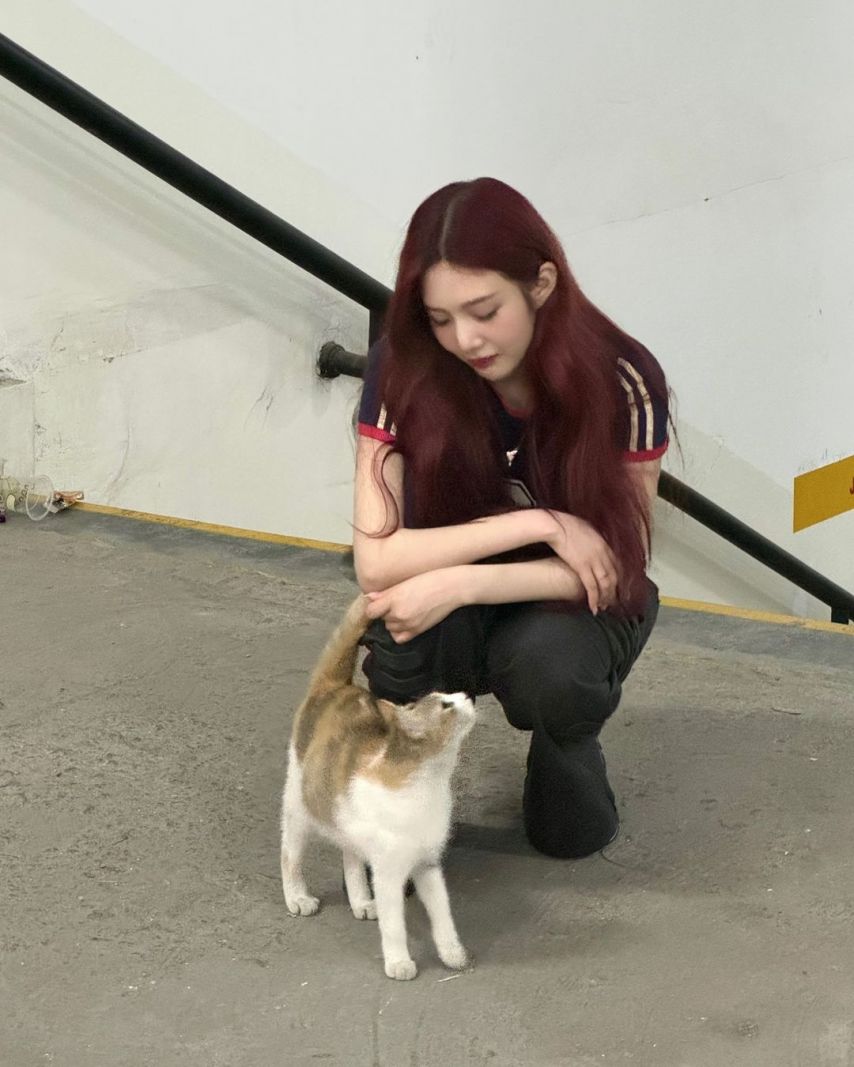 레드벨벳 조이