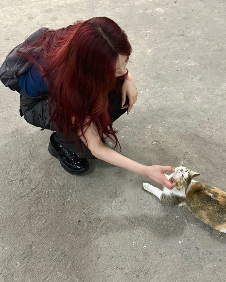 레드벨벳 조이