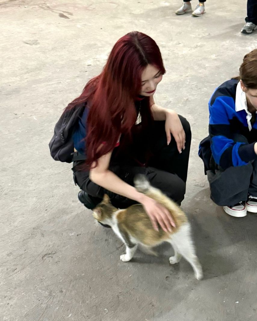 레드벨벳 조이