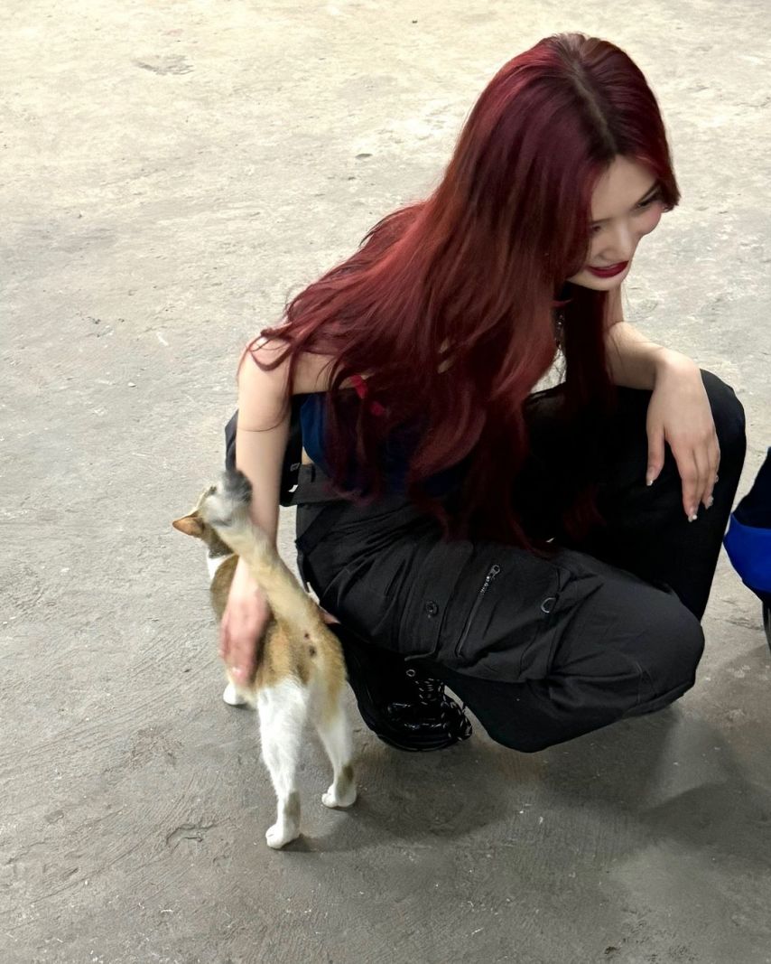 레드벨벳 조이