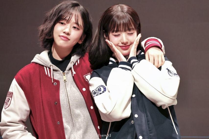 [아이브] 장원영 VS 안유진의 연고전