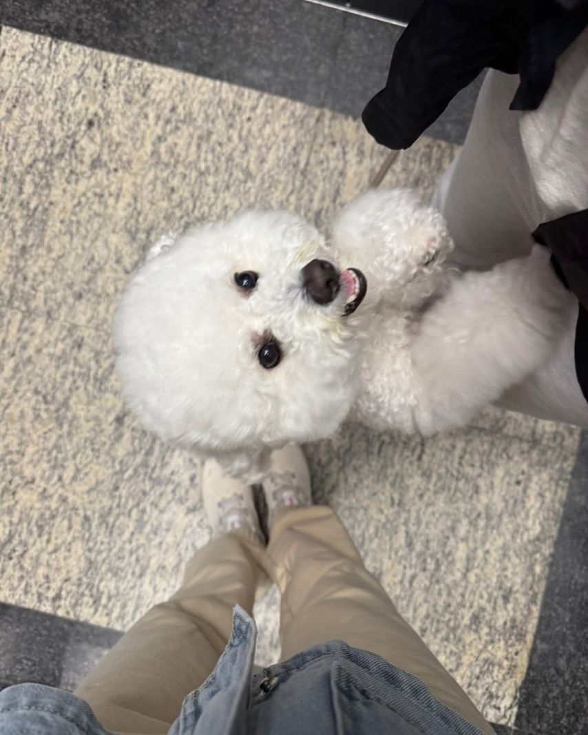 아이브 안유진,이서