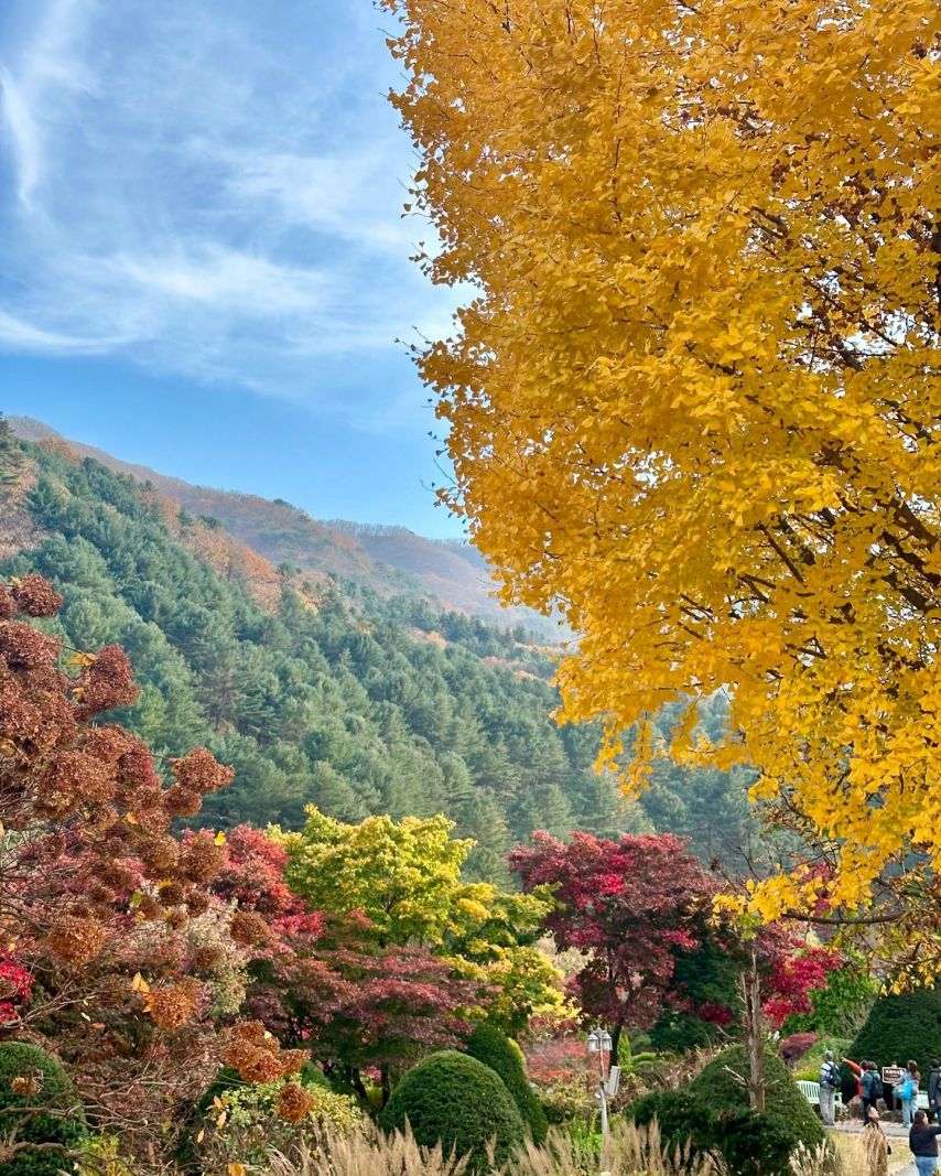 정소연 인스타
