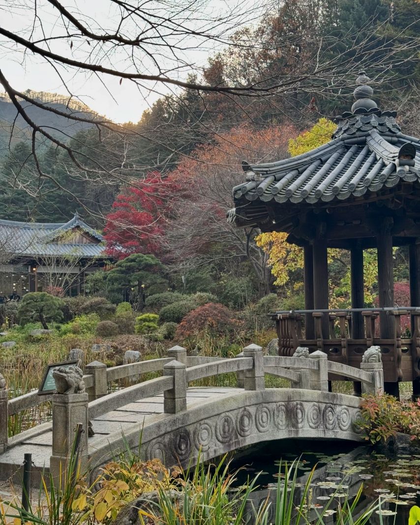 정소연 인스타