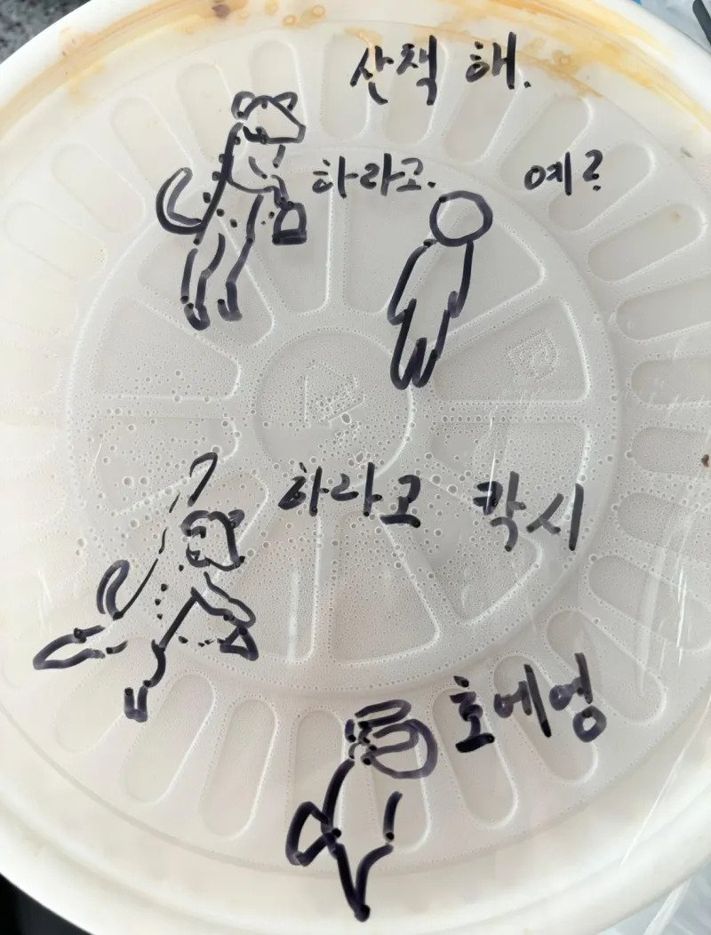 배민 배달시키면 사장님이 자꾸 그림 그려주심....