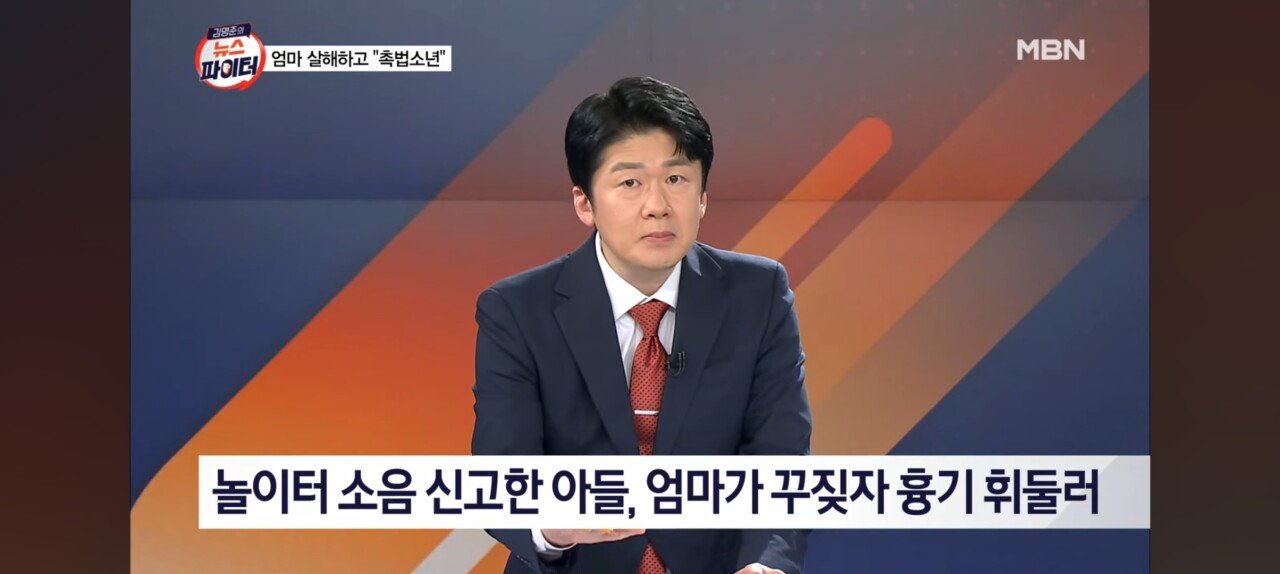 놀이터 시끄럽다 신고한 아들 어머니가 꾸짖자 무참히 살해.."난 촉법, 일본에 가서 살겠다"