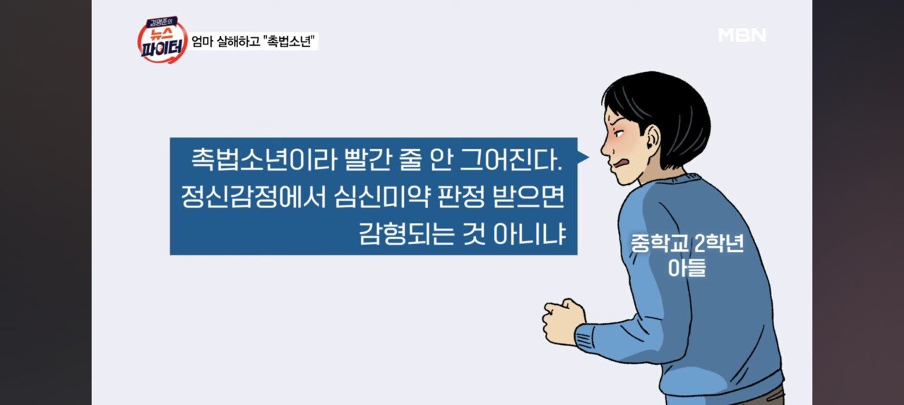 놀이터 시끄럽다 신고한 아들 어머니가 꾸짖자 무참히 살해.."난 촉법, 일본에 가서 살겠다"