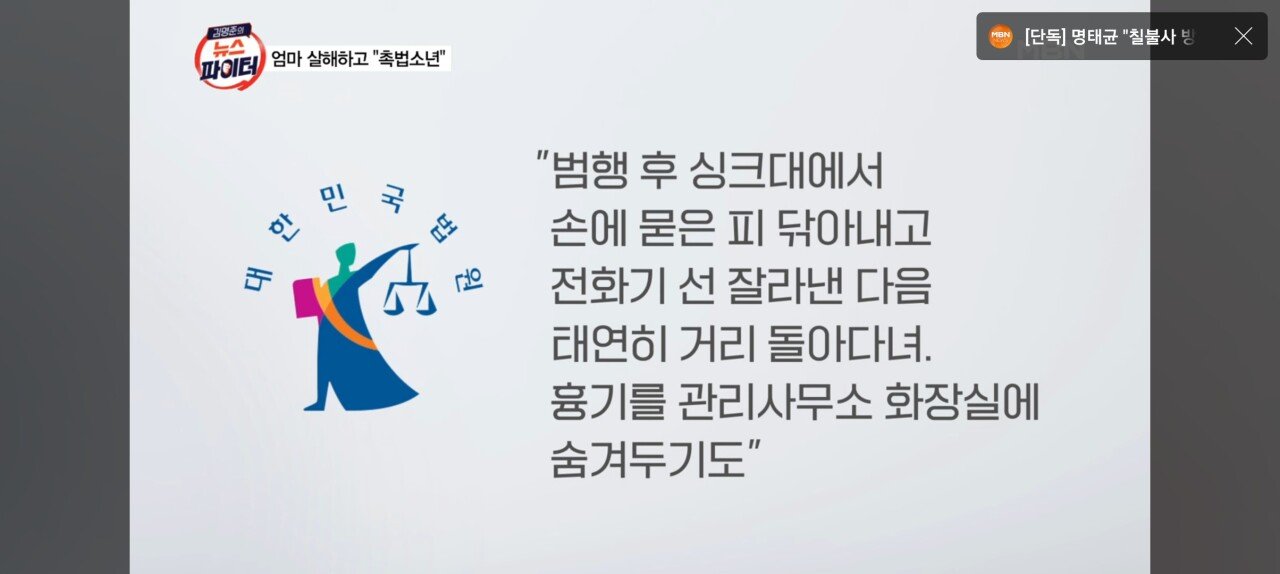 놀이터 시끄럽다 신고한 아들 어머니가 꾸짖자 무참히 살해.."난 촉법, 일본에 가서 살겠다"