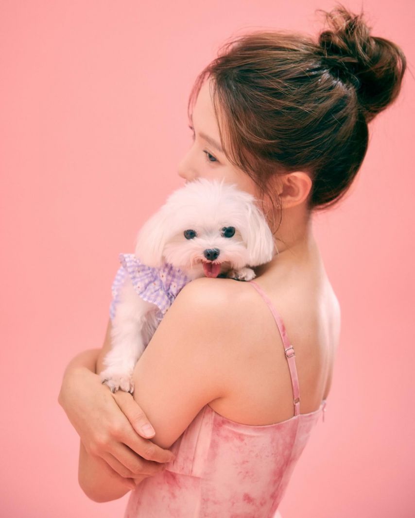 남보라