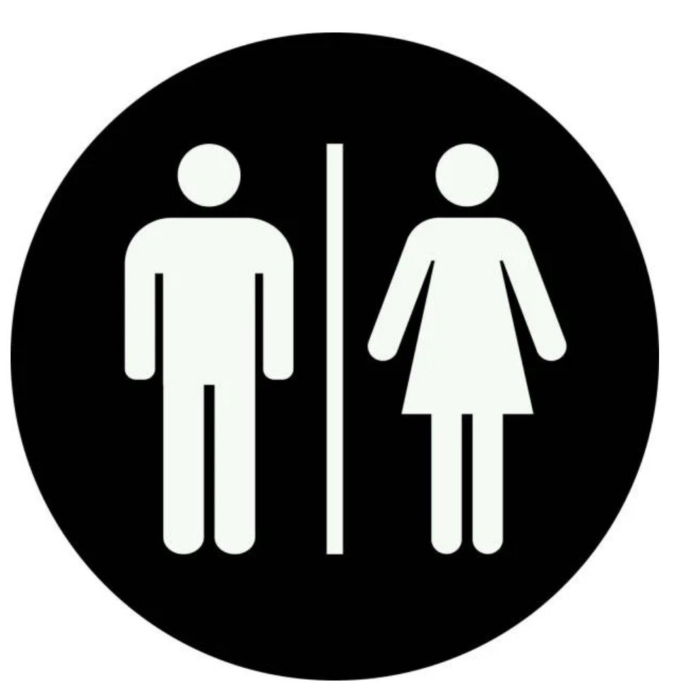 미국 사는 내가 트럼프에게 기대중인것