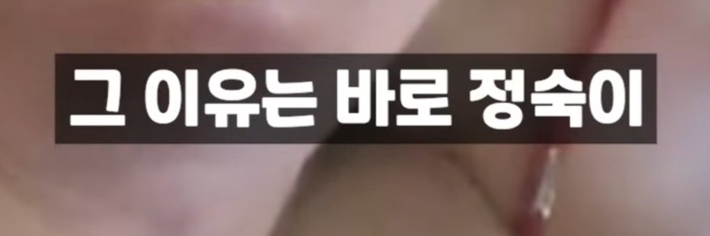 '나솔' 23기 정숙, '벗방·불법 에어비앤비 논란' 폭로도 나왔다...'절도' 이어 또 논란