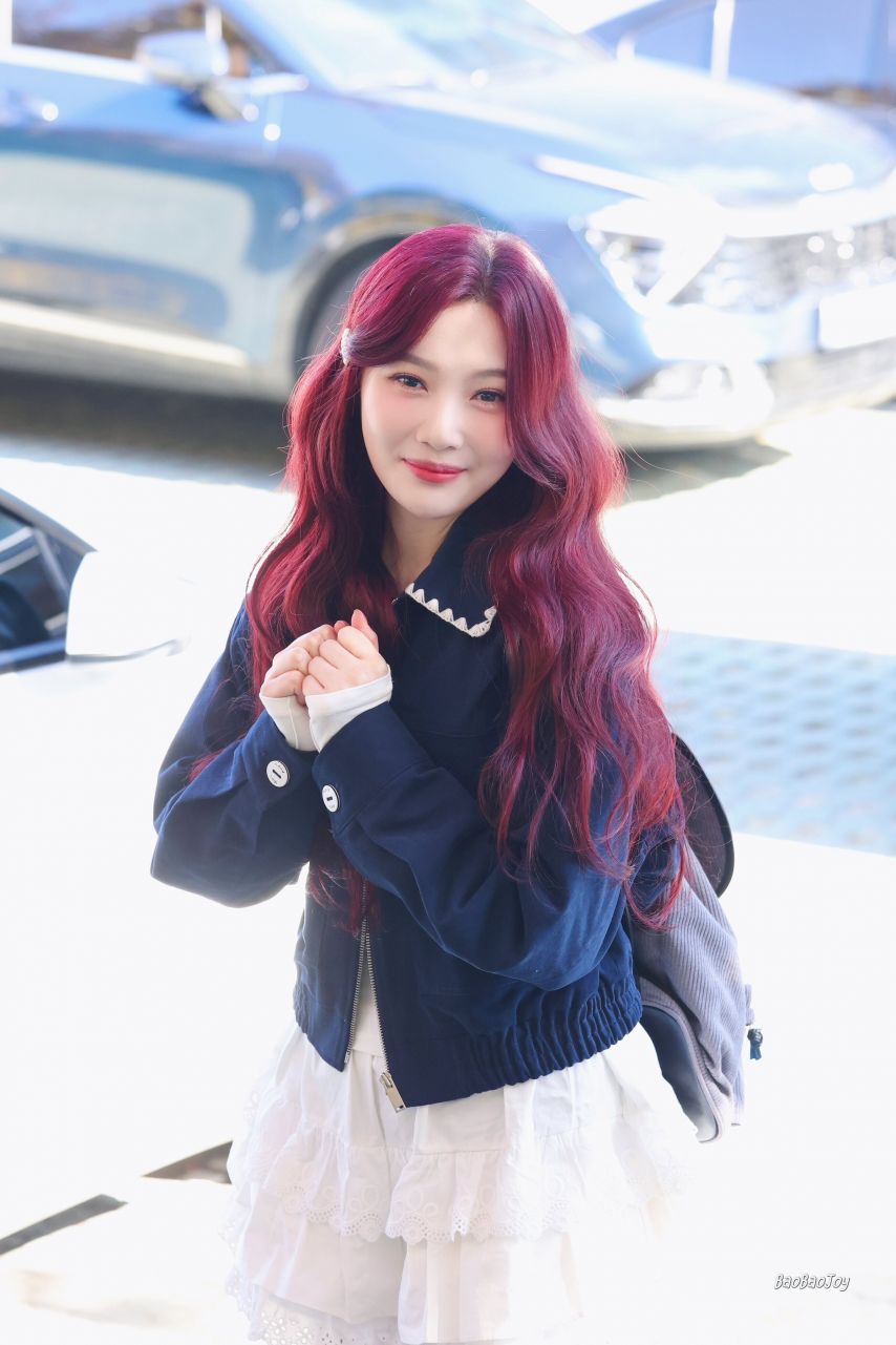 레드벨벳 조이