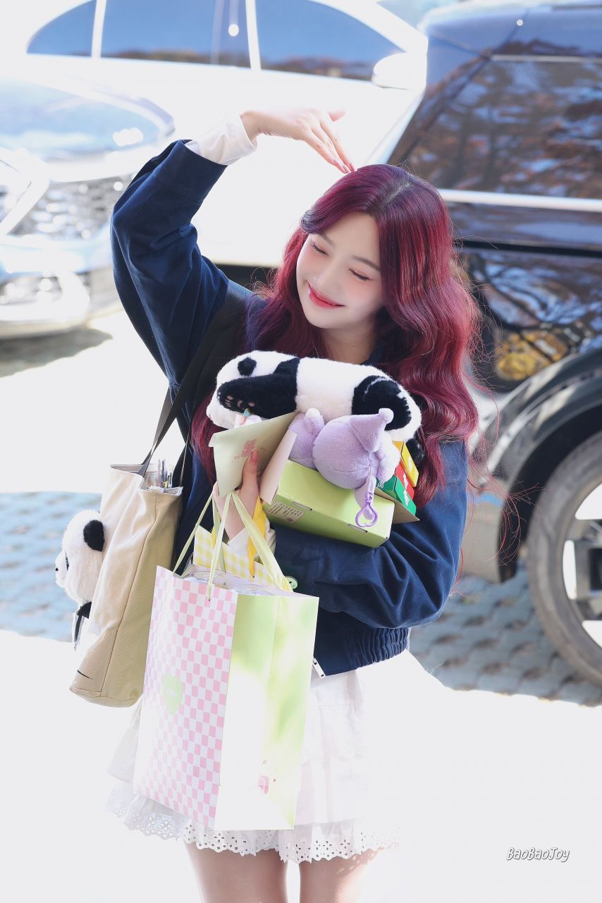 레드벨벳 조이