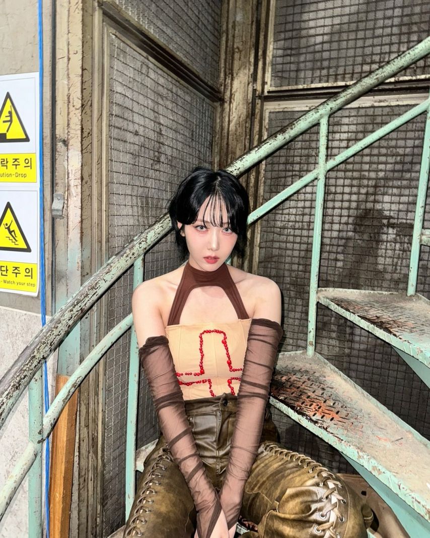 비비지 신비