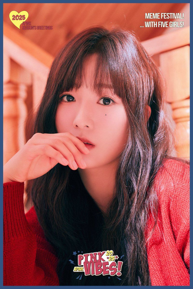 에이핑크 2025 Apink Season’s Greetings [PinkVibes]