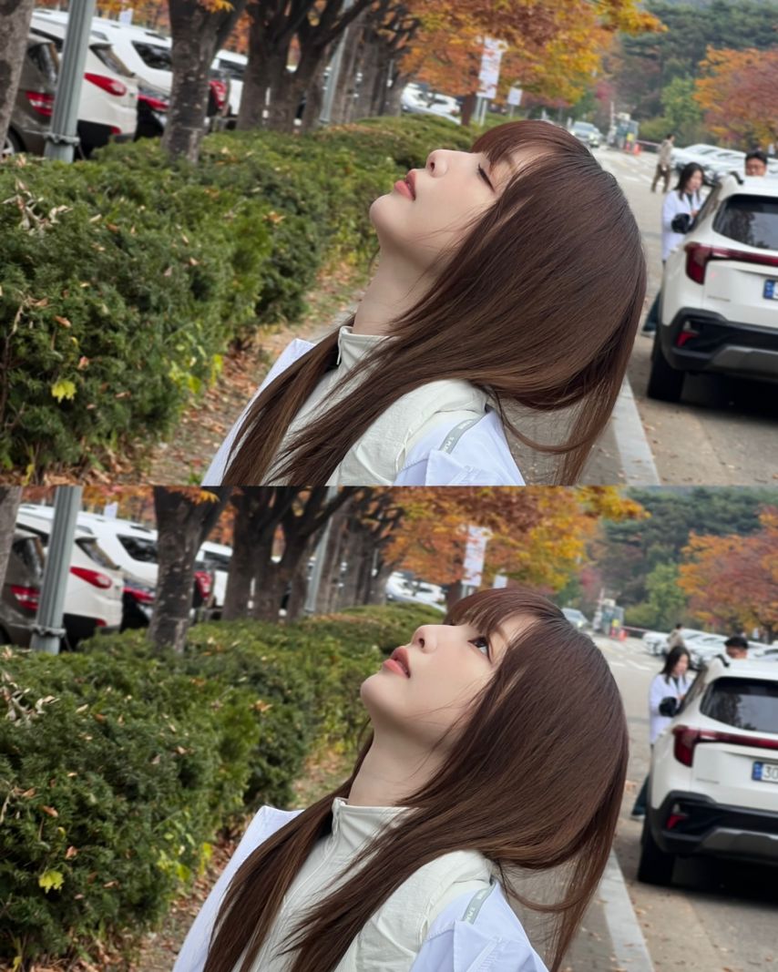 연희 수윤 소희 다현 윤경 로켓펀치
