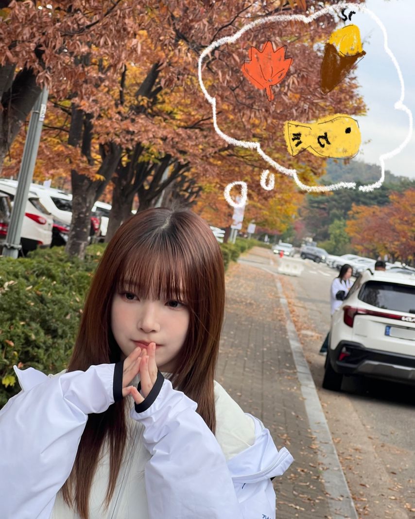연희 수윤 소희 다현 윤경 로켓펀치