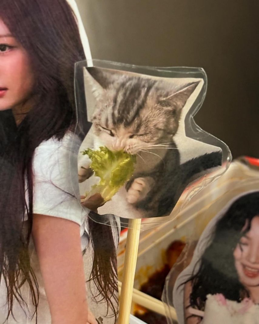 에스파 카리나,닝닝