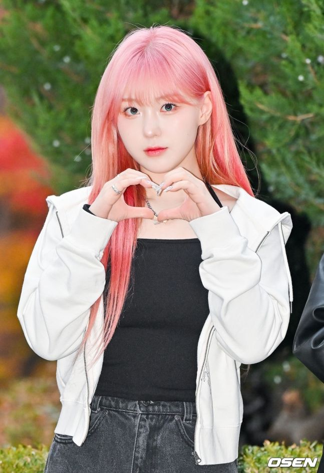 케플러 김채현