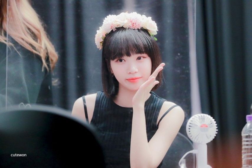 르세라핌 김채원