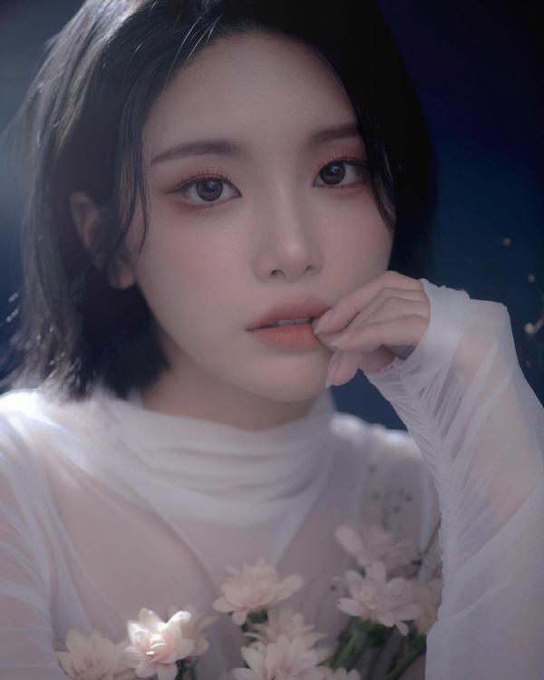 엘리스 벨라