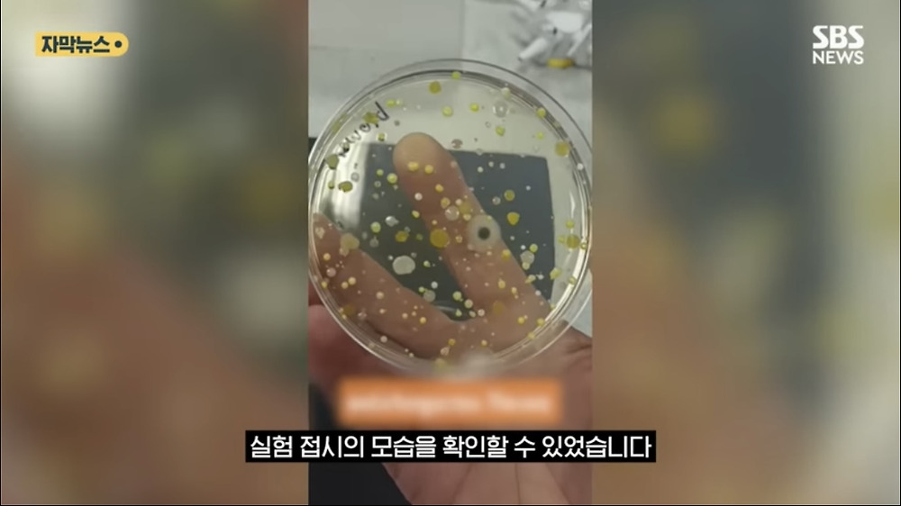 생각보다 더 더러운 화장실 손 건조기
