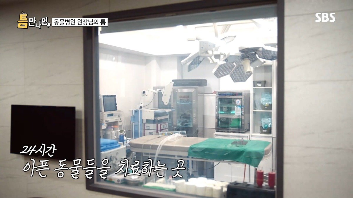 13년차 수의사가 사연 신청한 이유