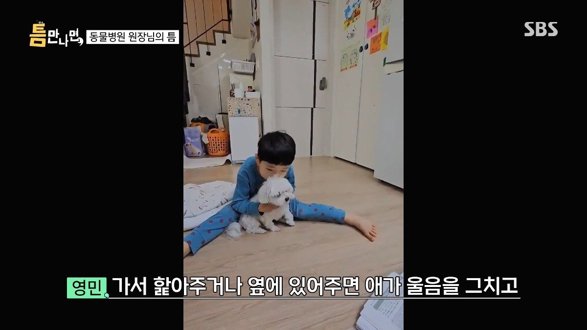 13년차 수의사가 사연 신청한 이유