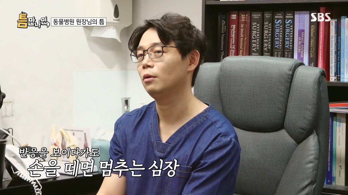 13년차 수의사가 사연 신청한 이유