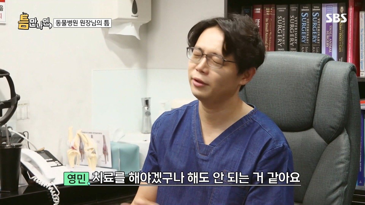 13년차 수의사가 사연 신청한 이유