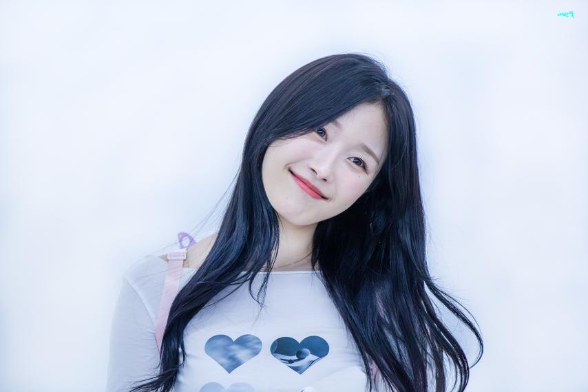 시그니처 채솔