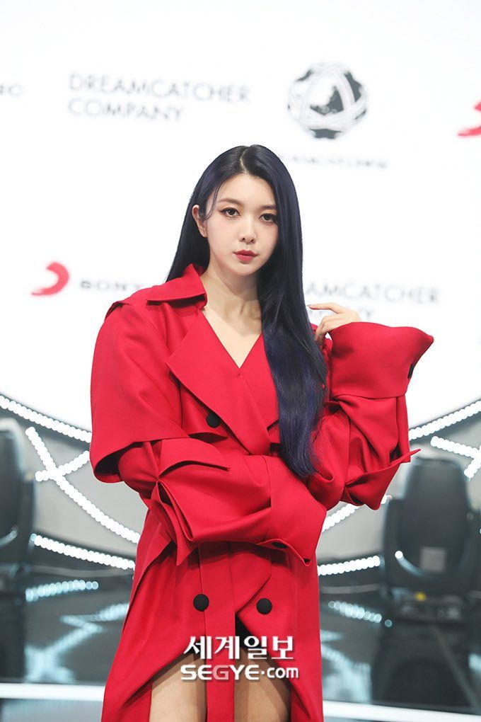 드림캐쳐 다미