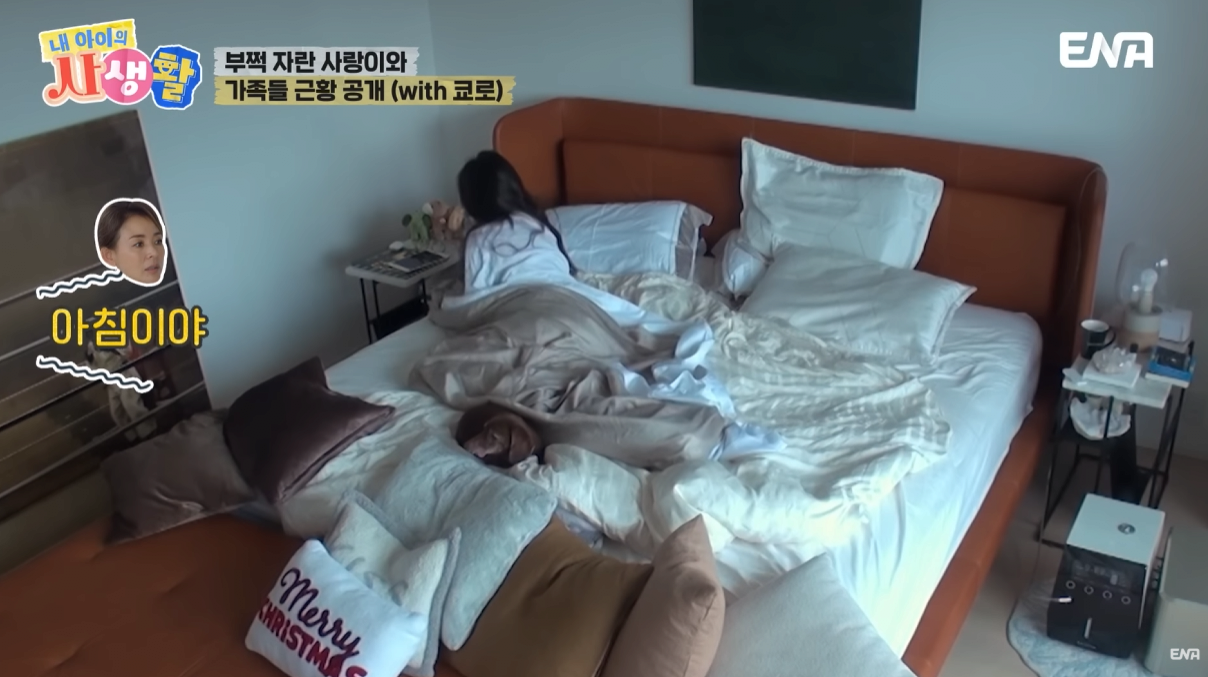 최근 추성훈이 유튜브찍고 야노시호한테 욕먹은 이유ㅋㅋㅋㅋㅋㅋㅋㅋㅋㅋㅋ